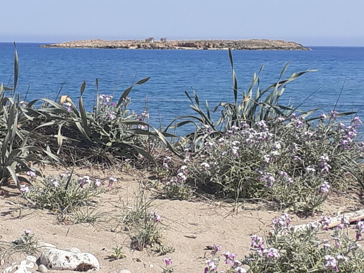 House Escape Chrissi Akti Chania