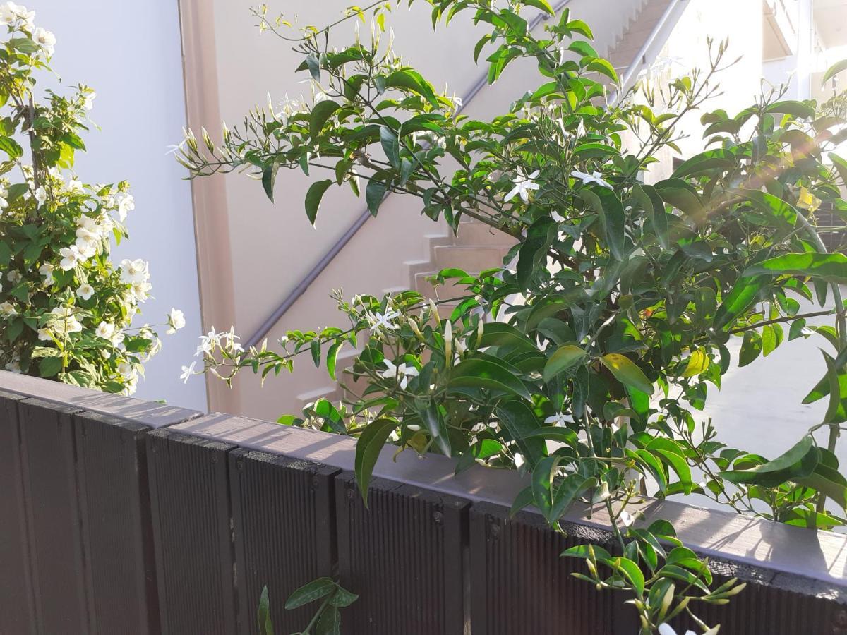 Apartament House Escape Chania (Crete)