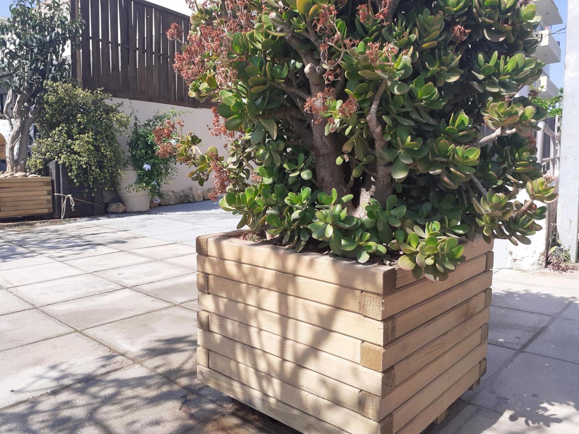 Apartament House Escape Chania (Crete)
