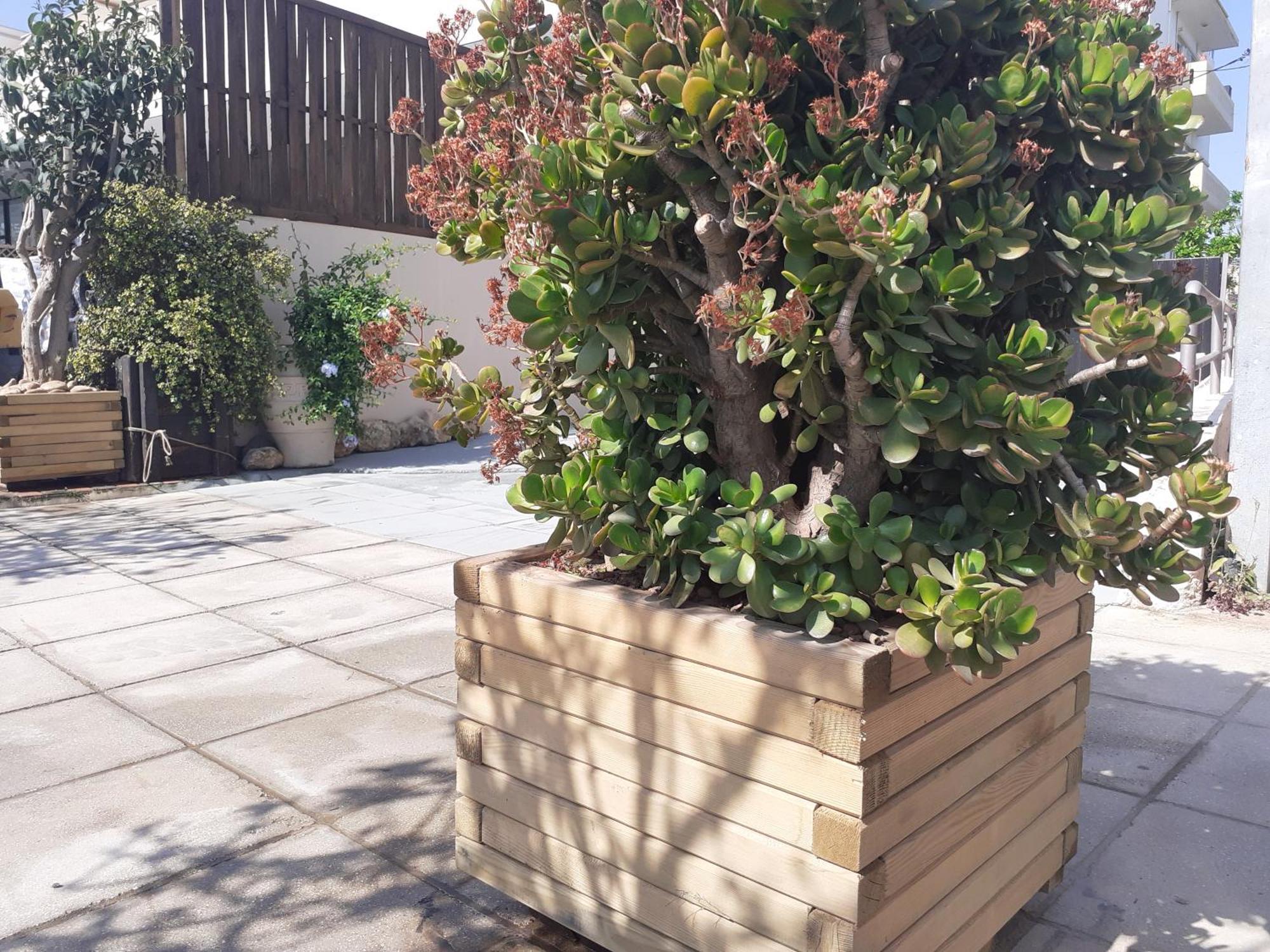 Apartament House Escape Chania (Crete)
